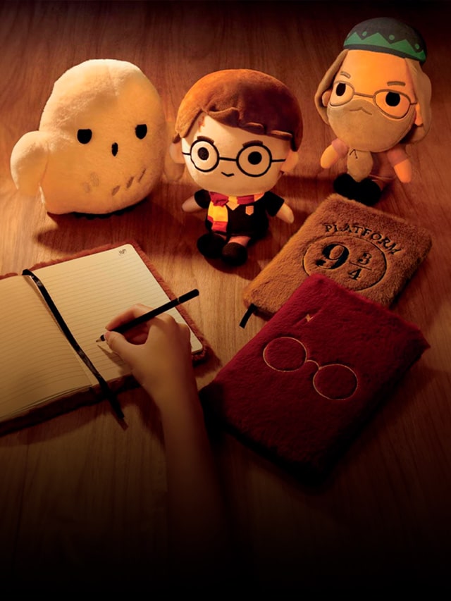 Agenda Harry Potter Cacau Show Dinotube Fr