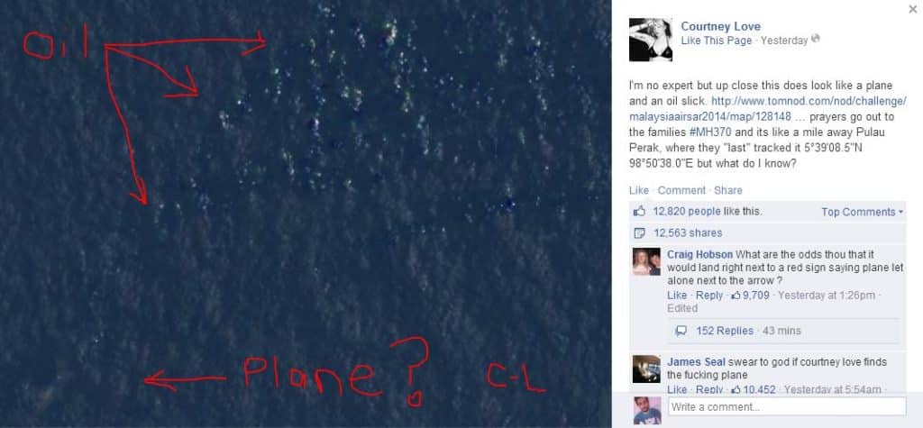 courtney love airplane