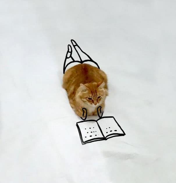 ilustracoes-em-foto-de-gato-gera-imagens-engracadas-1-blog-geek-publicitario