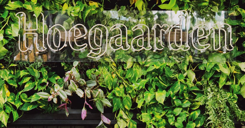 cerveja-hoegaarden-letreiro-folhas-verdes-logo