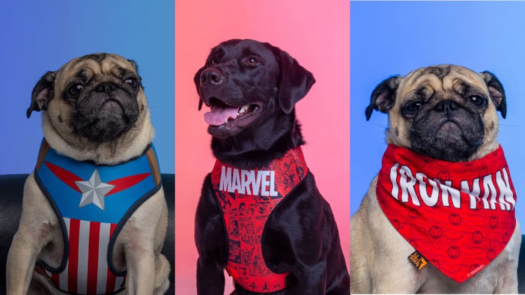 nova-linha-pitipets-piticas-geek-publicitario