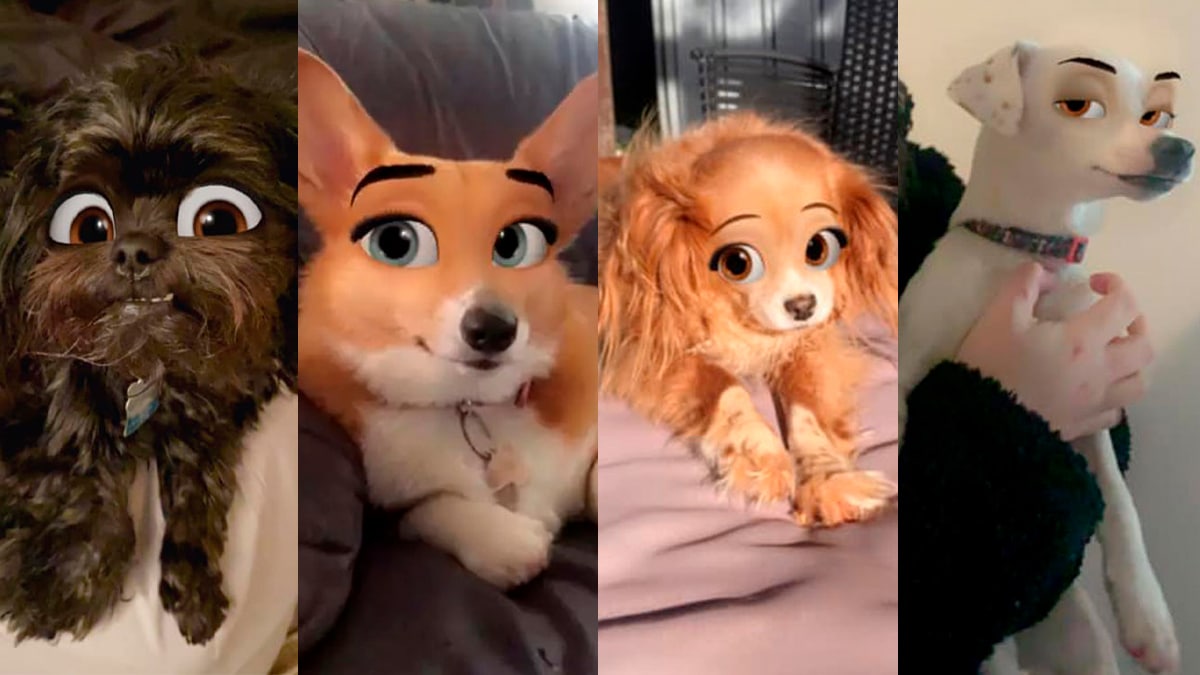 Filtro do Snapchat transforma pets em desenhos; saiba como usar