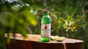 Uma garrafa de Tanqueray & Tonic ao lado de fatias de limão
