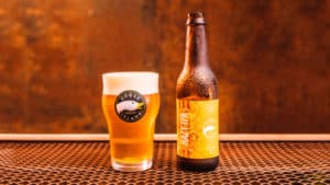 Um copo e uma garrafa de Goose Island Hazy IPA.