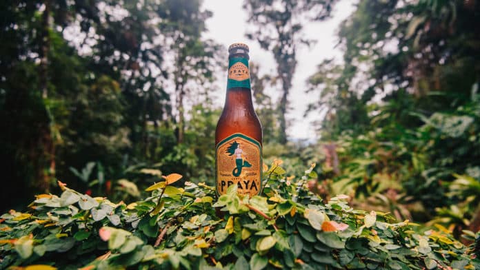 Foto de divulgação para o clube de assinatura Praya. Uma garrafa de cerveja no meio de uma floresta.