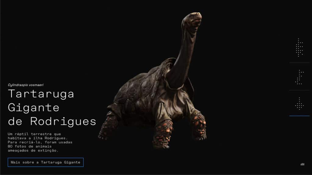 Tartaruga Gigante de Rodrigues, Getty Images