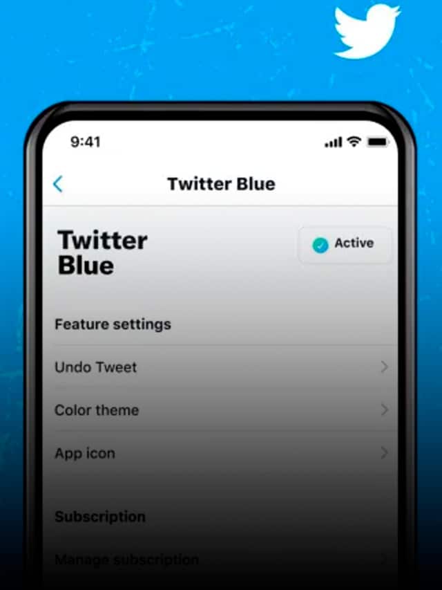 Twitter Blue: rede lança versão paga com recursos extras