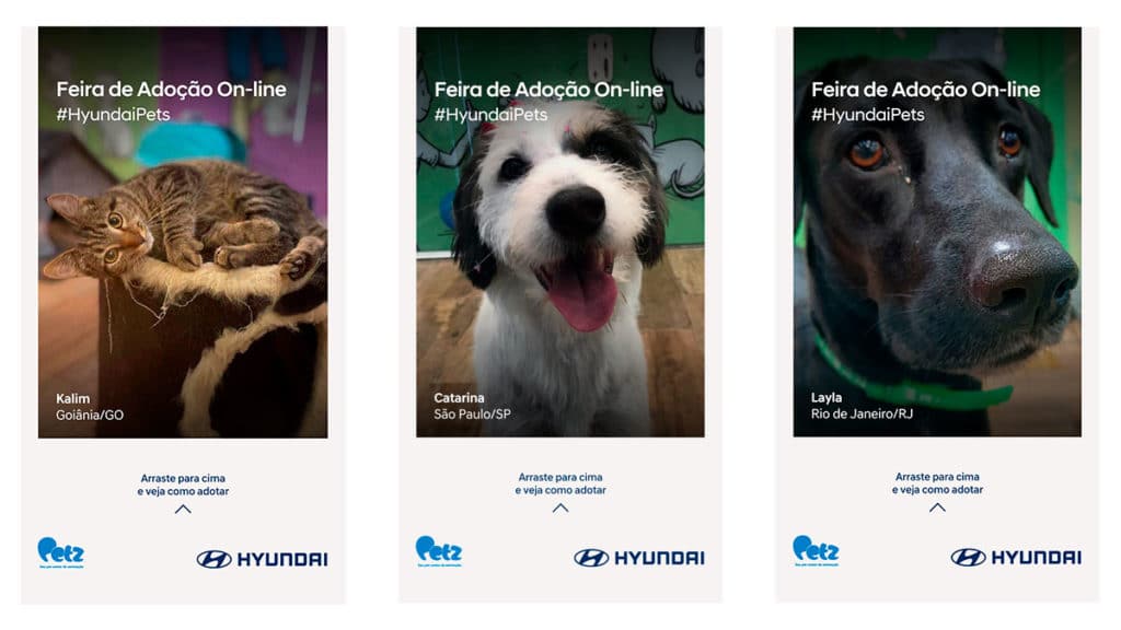 hyundai-campanha-de-adocao campanha de adoção da Hyundai.