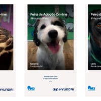 campanha de adoção da Hyundai.