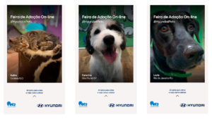 campanha de adoção da Hyundai.