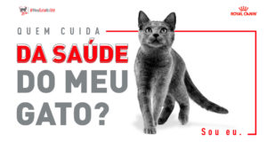 Meu Gato no Vet da Royal Canin.