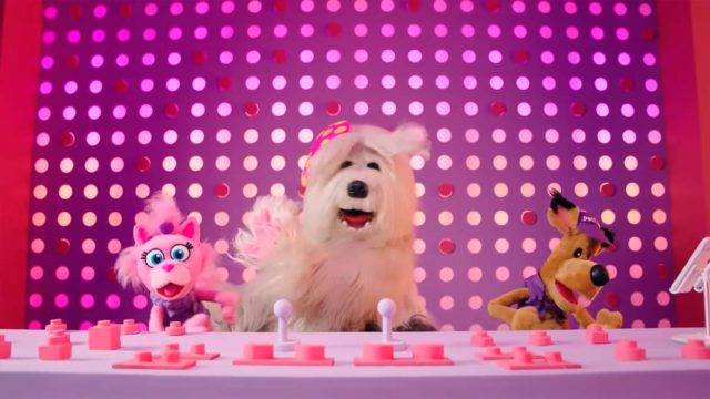 Campanha de Petlove com Priscila, Gata Sensata e Oscar A. Melo