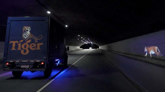 Tigre da Cerveja Tiger projetado pelas ruas