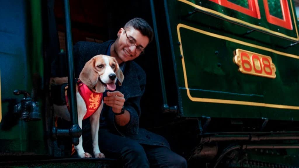 freefaro-harry-potter A foto apresenta um cachorro e seu dono na porta do expresso para Hogwarts com o pet usando a coleira da FreeFaro.