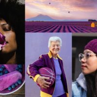 Shutterstock Cores Tendências para 2022: Violeta Veludo