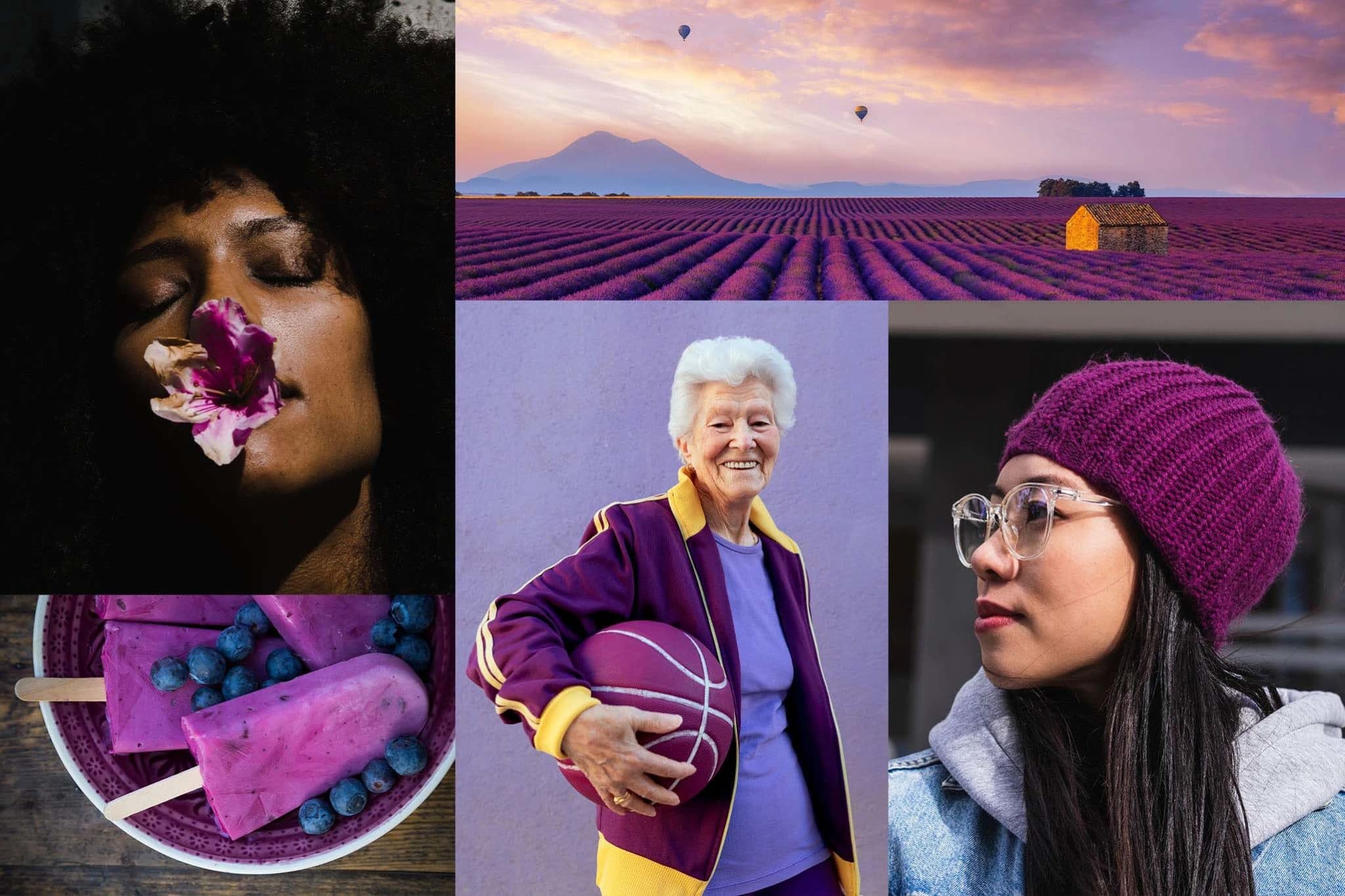Shutterstock apresenta relatório com cores tendências para 2022