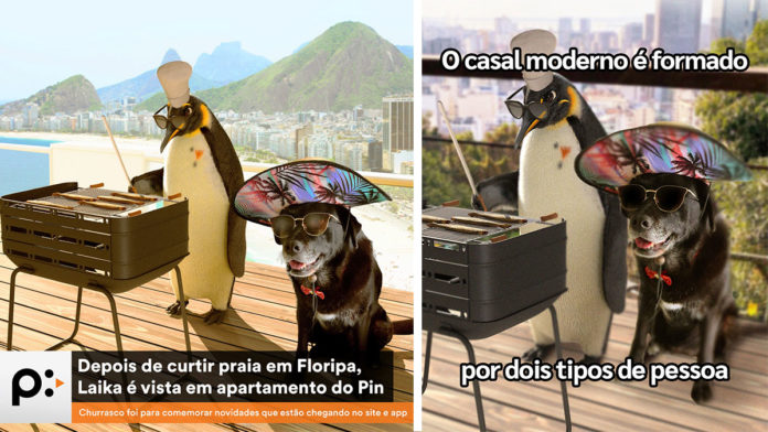 A foto apresenta a campanha de Ponto com a cadela Laika.