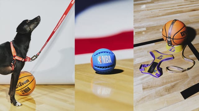 Petlove anuncia parceria inédita com a NBA no Brasil
