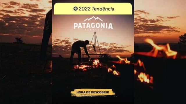 Cerveza-patagonia-Trend-Badge-Pinterest