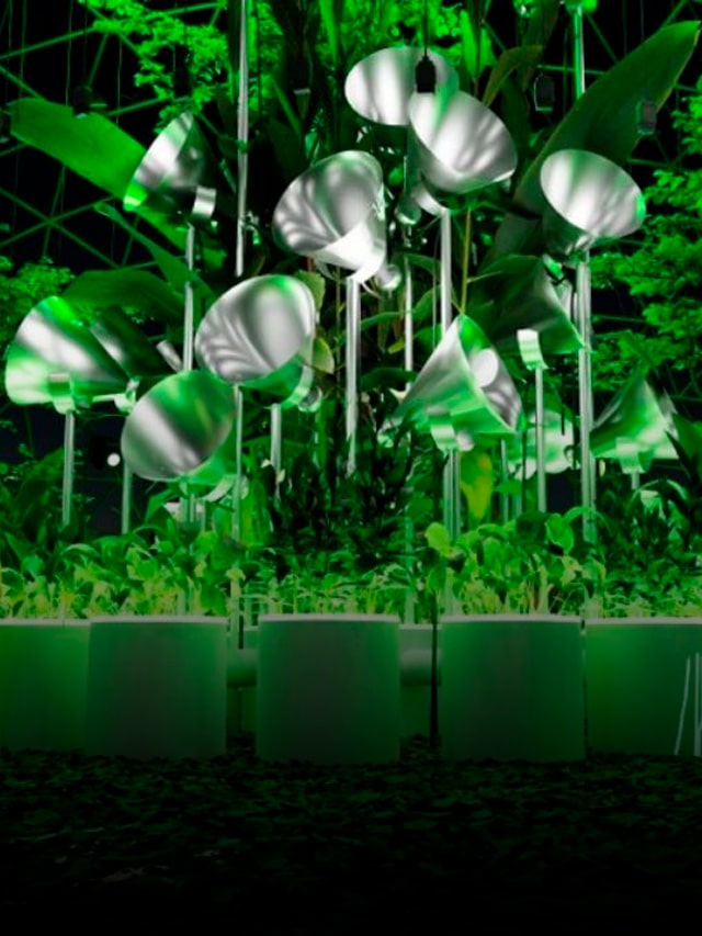 web-story-heineken-biosfera-rock-in-rio-2022