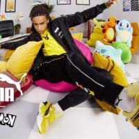 Puma Pokémon