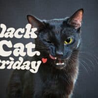 black-cat-friday