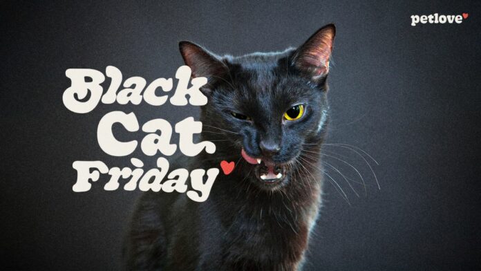 black-cat-friday