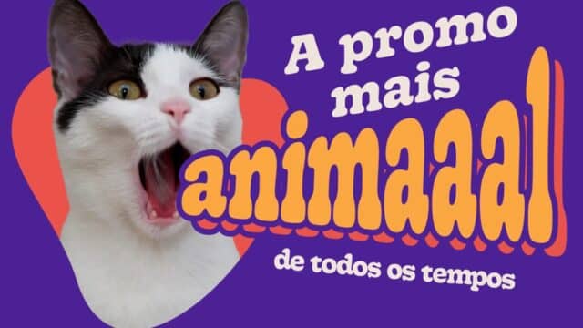 Petlove comemora aniversário com festa e R$500 mil em prêmios