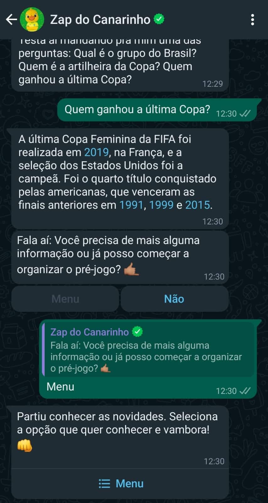 Zap do Canarinho volta com IA para a Copa do Mundo Feminina 2023