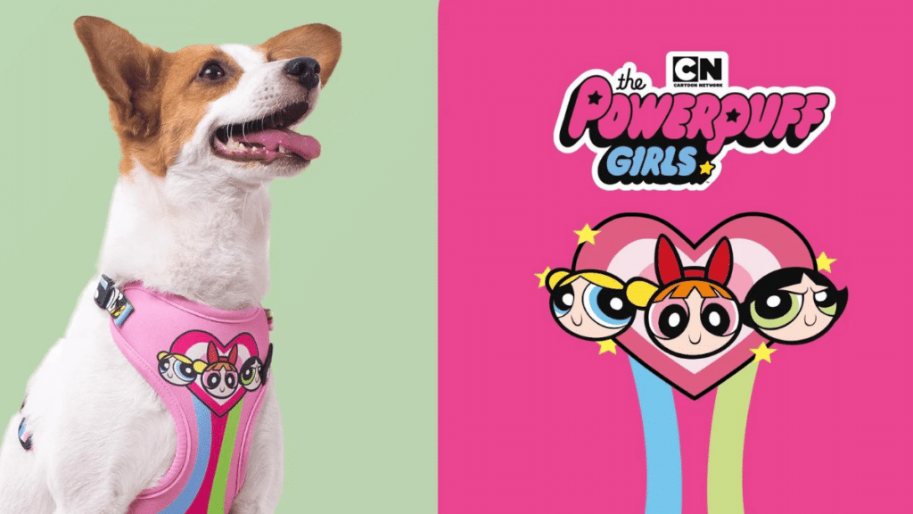 FreeFaro desenvolve coleção de Meninas Superpoderosas
