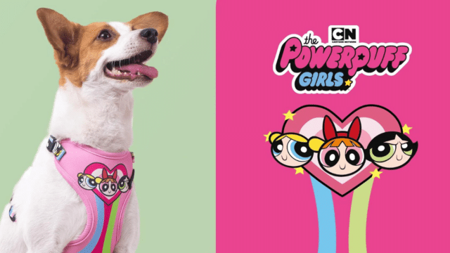 FreeFaro desenvolve coleção de Meninas Superpoderosas