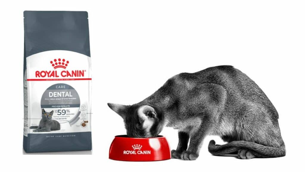royal-canin-banner