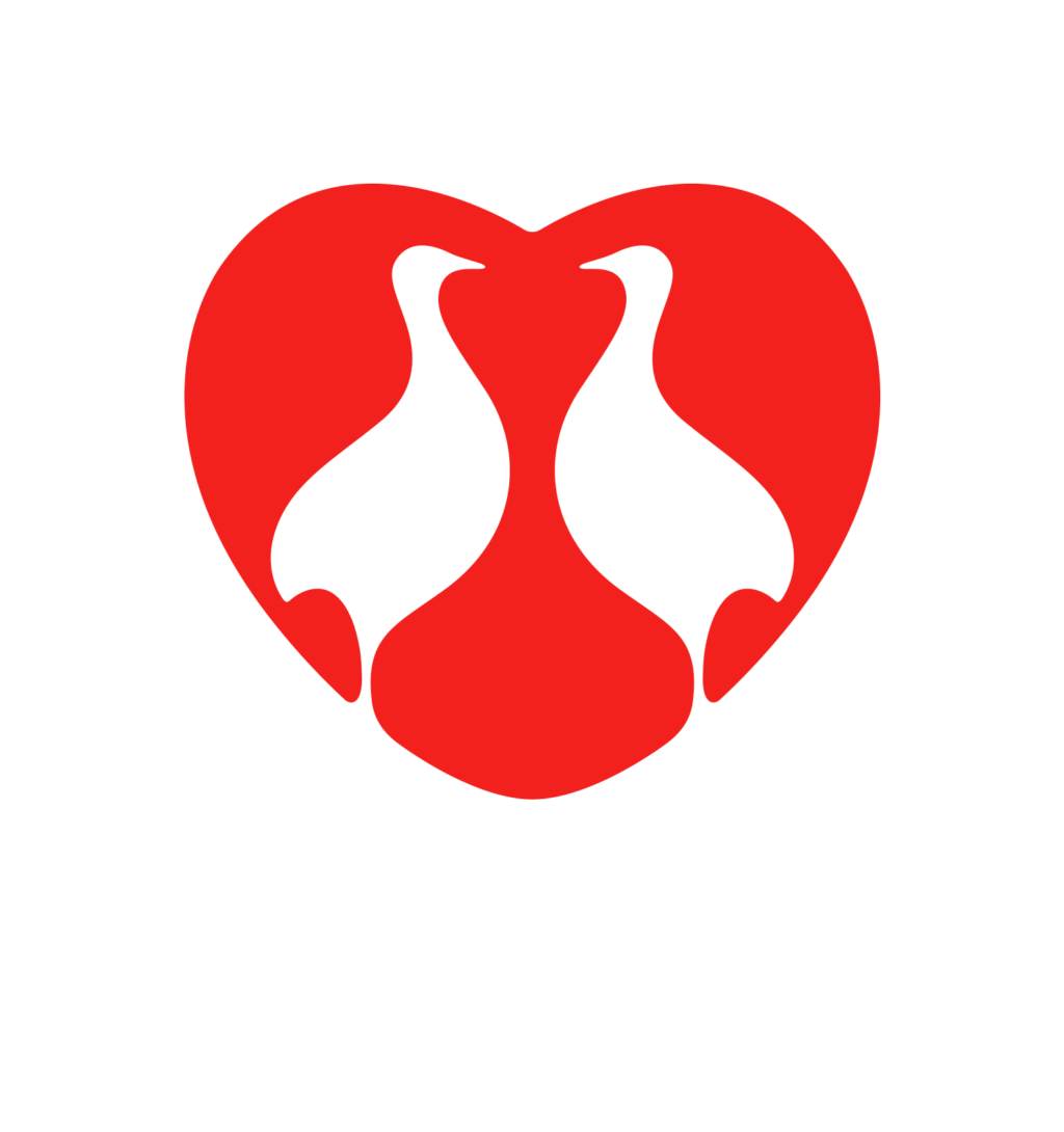 novo logo perdigao