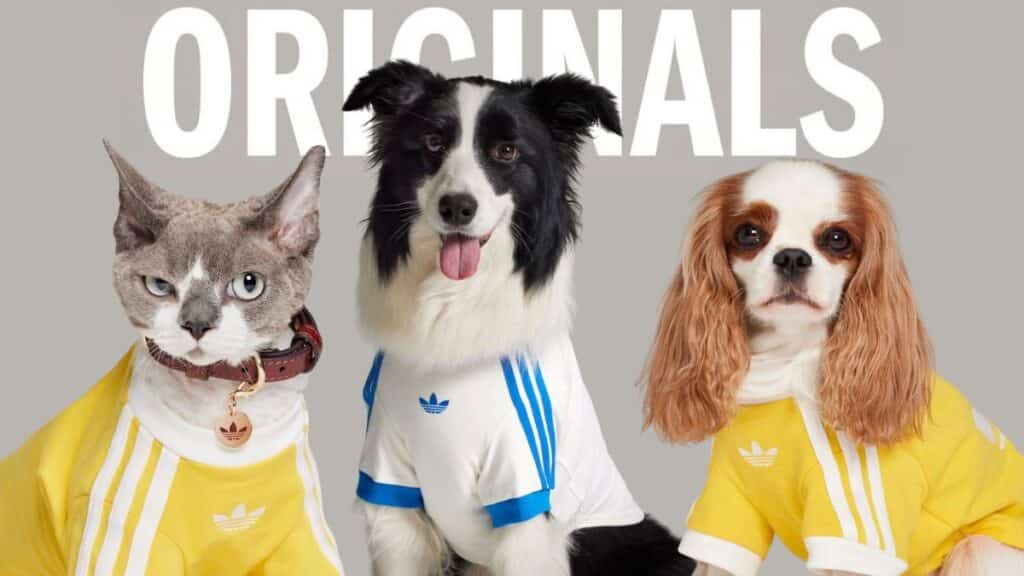 adidas-originals-pet-gkpb-banner