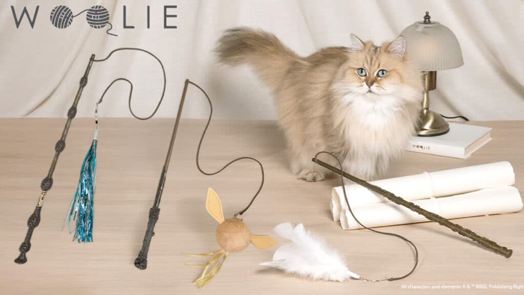 gkpb-banner-woolie-varinha-para-gato-harry-potter