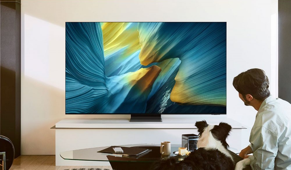 Uma pessoa e um cachorro assistindo a uma TV Samsung moderna, exibindo uma imagem colorida e vibrante em um ambiente de sala de estar.
