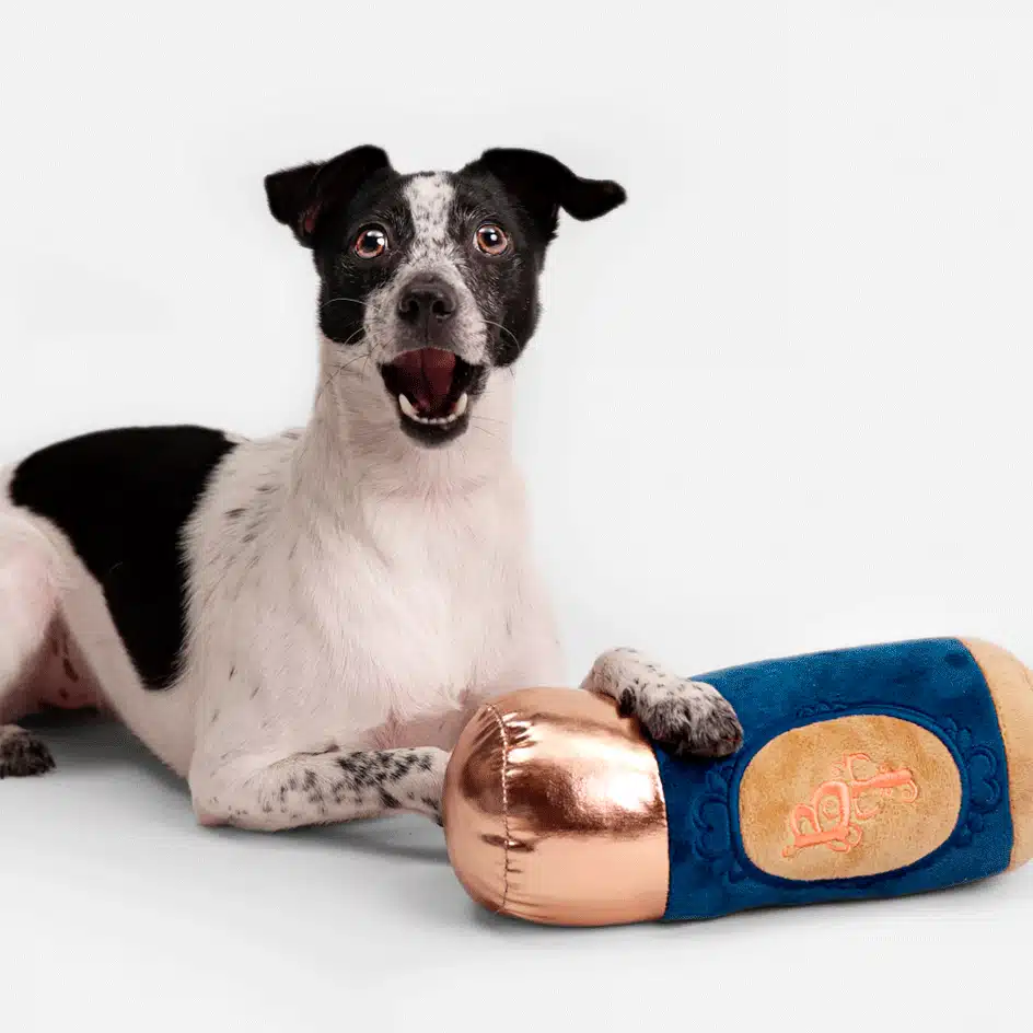 Um cão de pele branca com manchas pretas está deitado, sorrindo, ao lado de uma pelúcia azul com detalhes dourados, inspirada na marca BT.