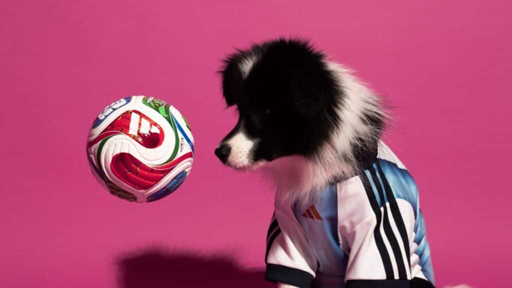 Cachorro usando uma blusa de uniforme da adidas para a Copa do Mundo, ao lado de uma bola de futebol