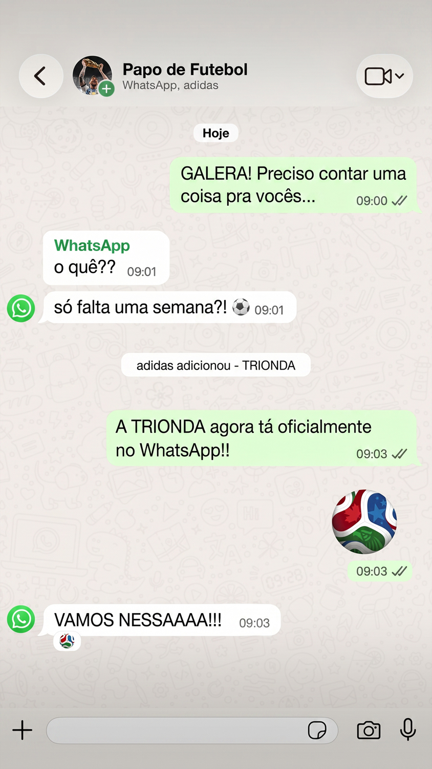 Captura de tela de conversa no WhatsApp sobre a Trionda, com mensagem “adidas adicionou - TRIONDA”.